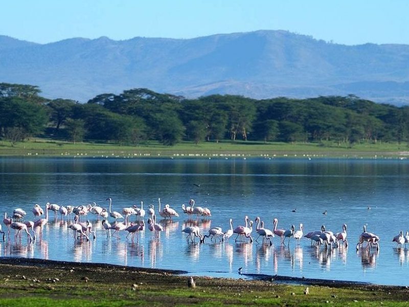 Lake-Naivasha-marwa travels